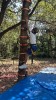 Thumbs/tn_2024-10-22 12 02 51.jpg